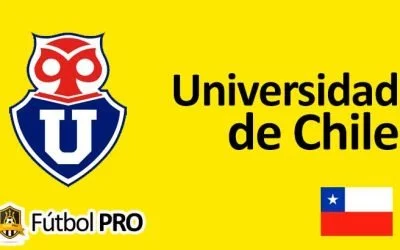 Universidad de chile