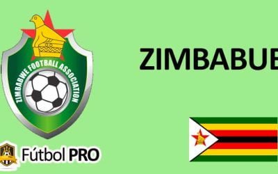 Selección Nacional de Fútbol de Zimbabue