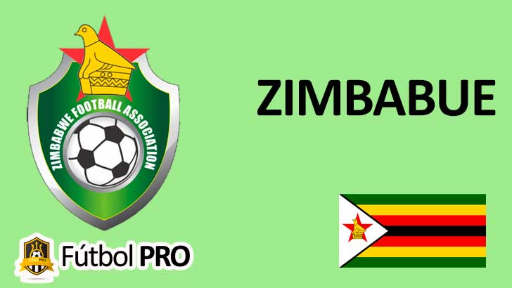 Selección Nacional de Fútbol de Zimbabue