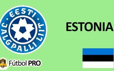 Selección de Fútbol de Estonia