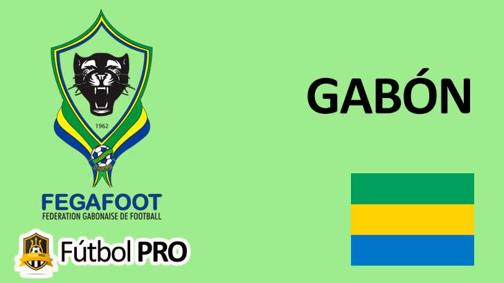 Selección de Gabón de Fútbol: Ascenso de las Panteras del Fútbol Gabonés