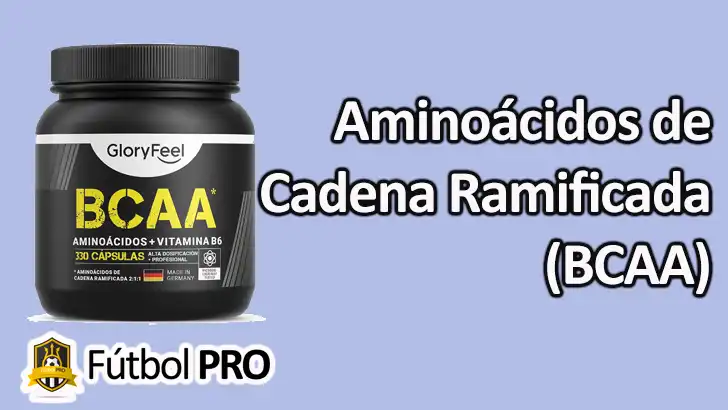 Aminoácidos de Cadena Ramificada (BCAA)